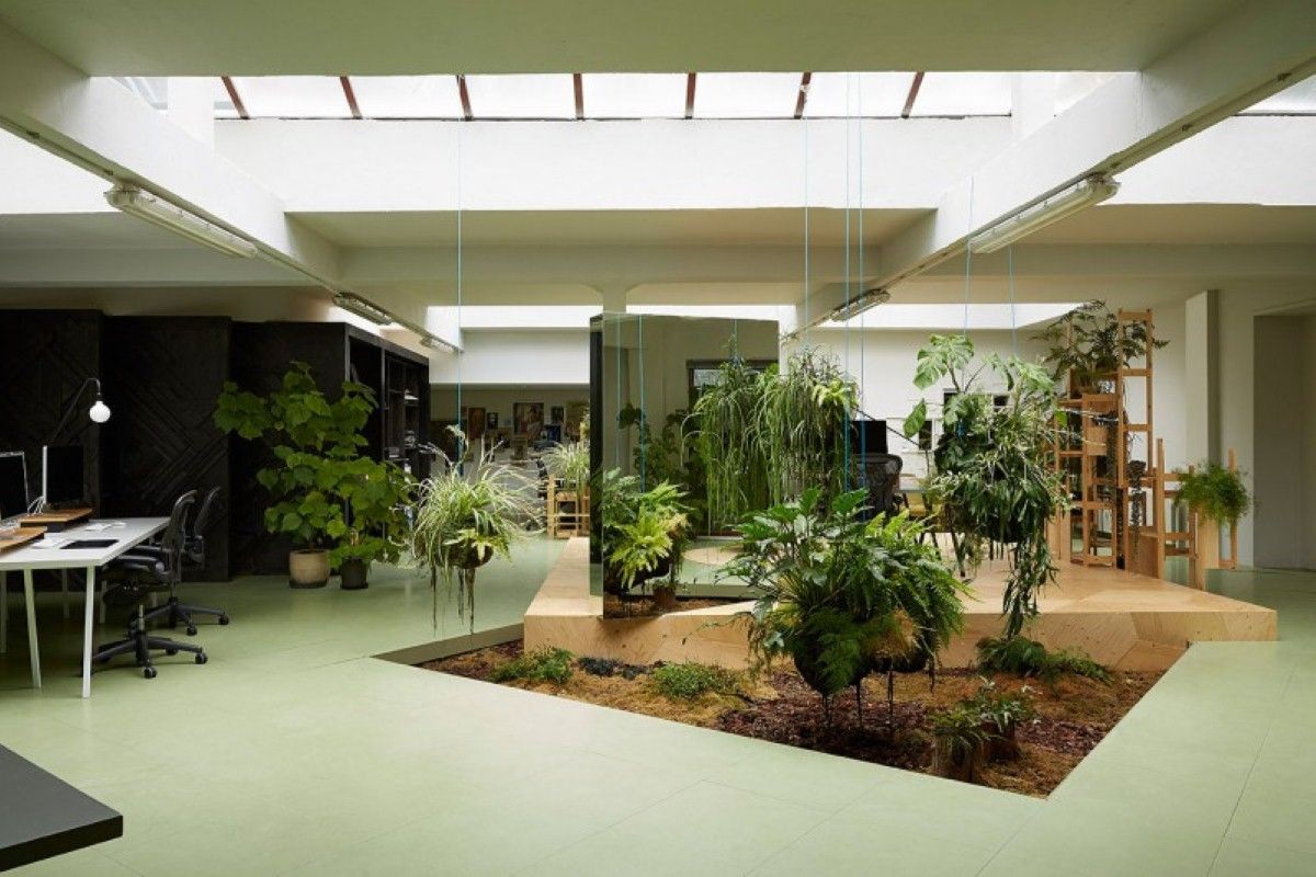 Giardino interno: come crearsi unoasi verde nella propria casa ... Giardino interno casa