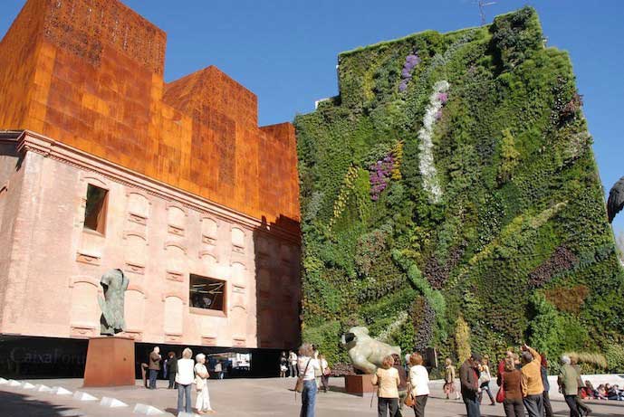 blanc mur-vegetal-muro-vegetale-patrick-blanc