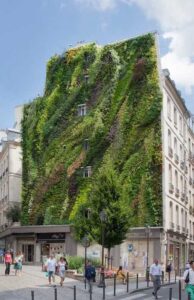 blanc muro-vegetale-vantaggi