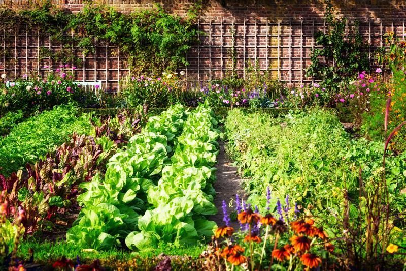 Come preparare il giardino
