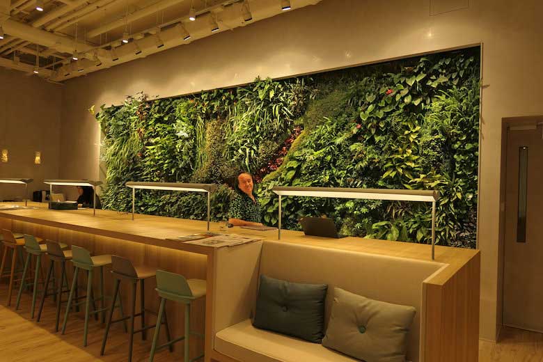 blanc progetti muro vegetale