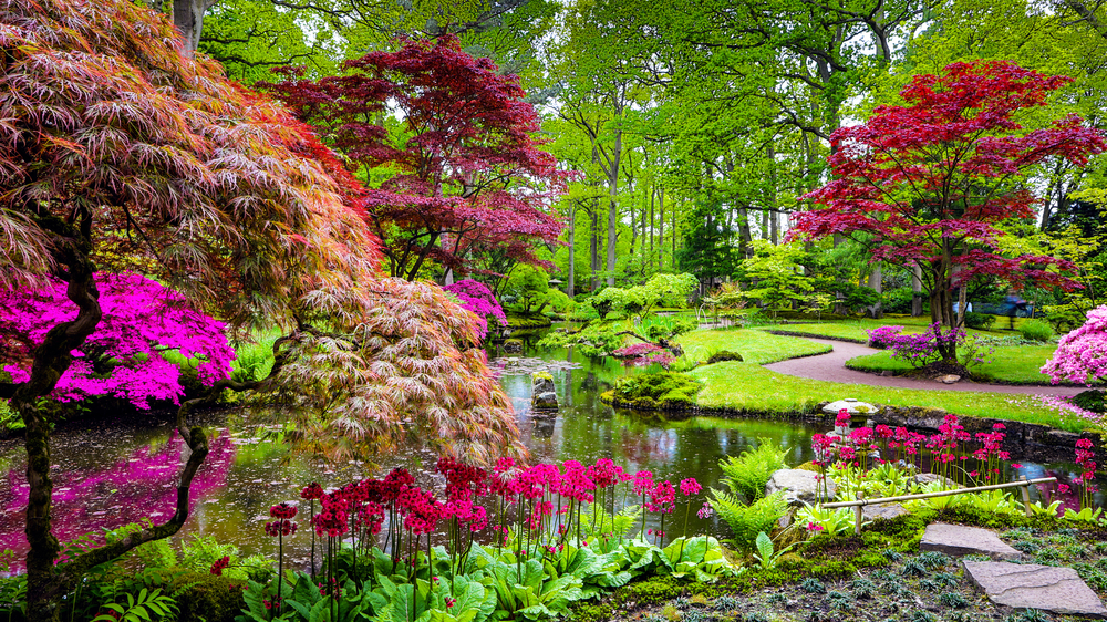 giardino zen architettura giapponese