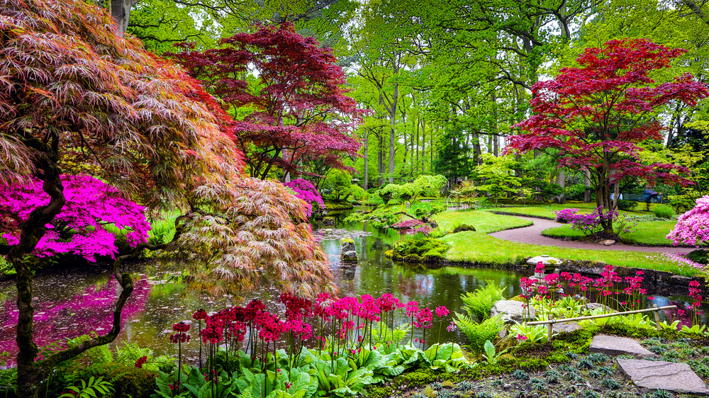 Realizzare un giardino Zen per rigenerare corpo, mente e spirito