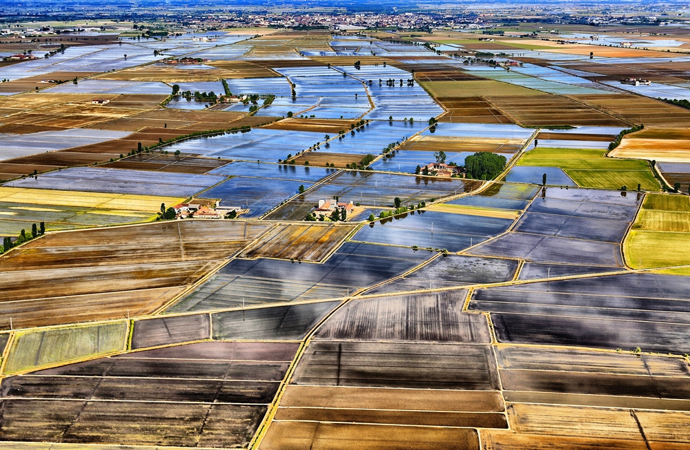 Lo specchio della terra: il mare a quadretti delle risaie a Vercelli