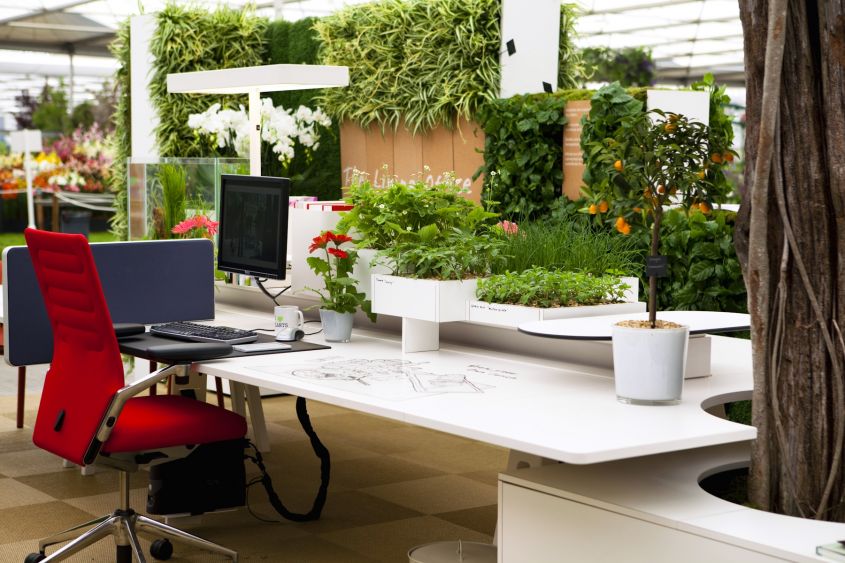 ufficio green