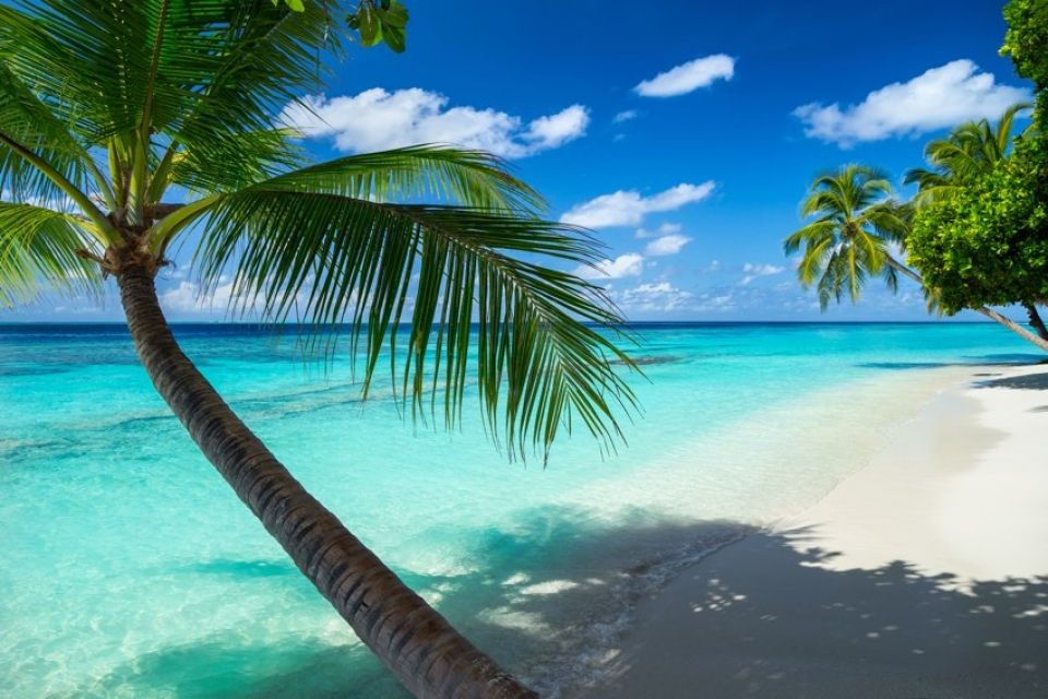 luna di miele alle maldive