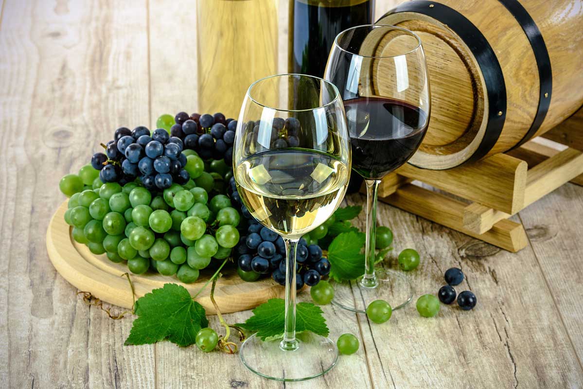 vendemmia 2018 eventi