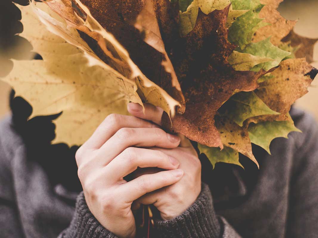colori autunno interior design