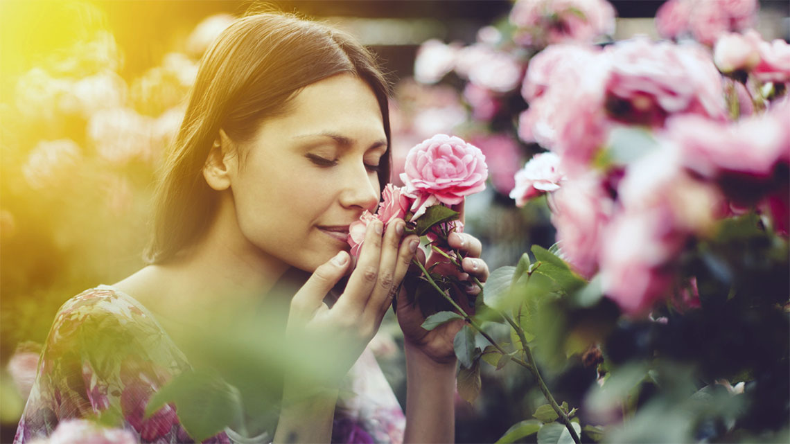 Sentire Il Profumo Di Una Persona Morta Profumoterapia, aromaterapia, stimolazione olfattiva: le molecole che