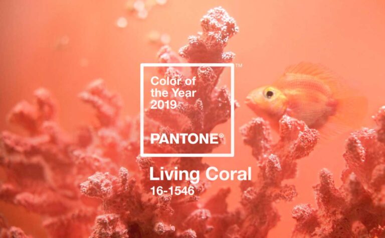 colore del anno 2019 Pantone
