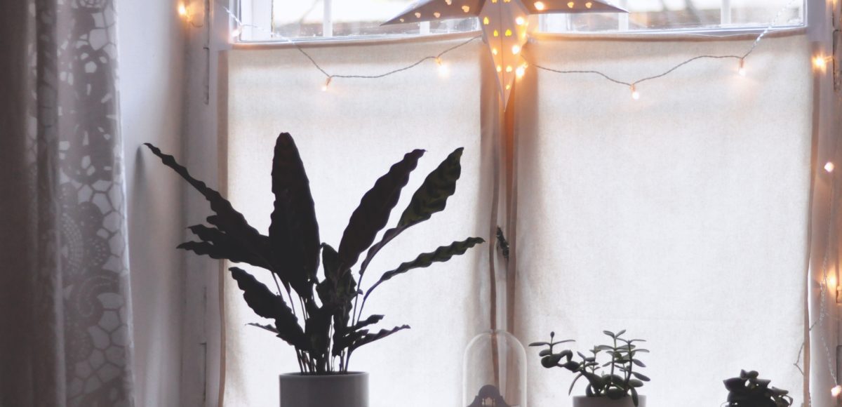 Casa trendy ma economica? Scegli lo stile nordico-scandinavo.