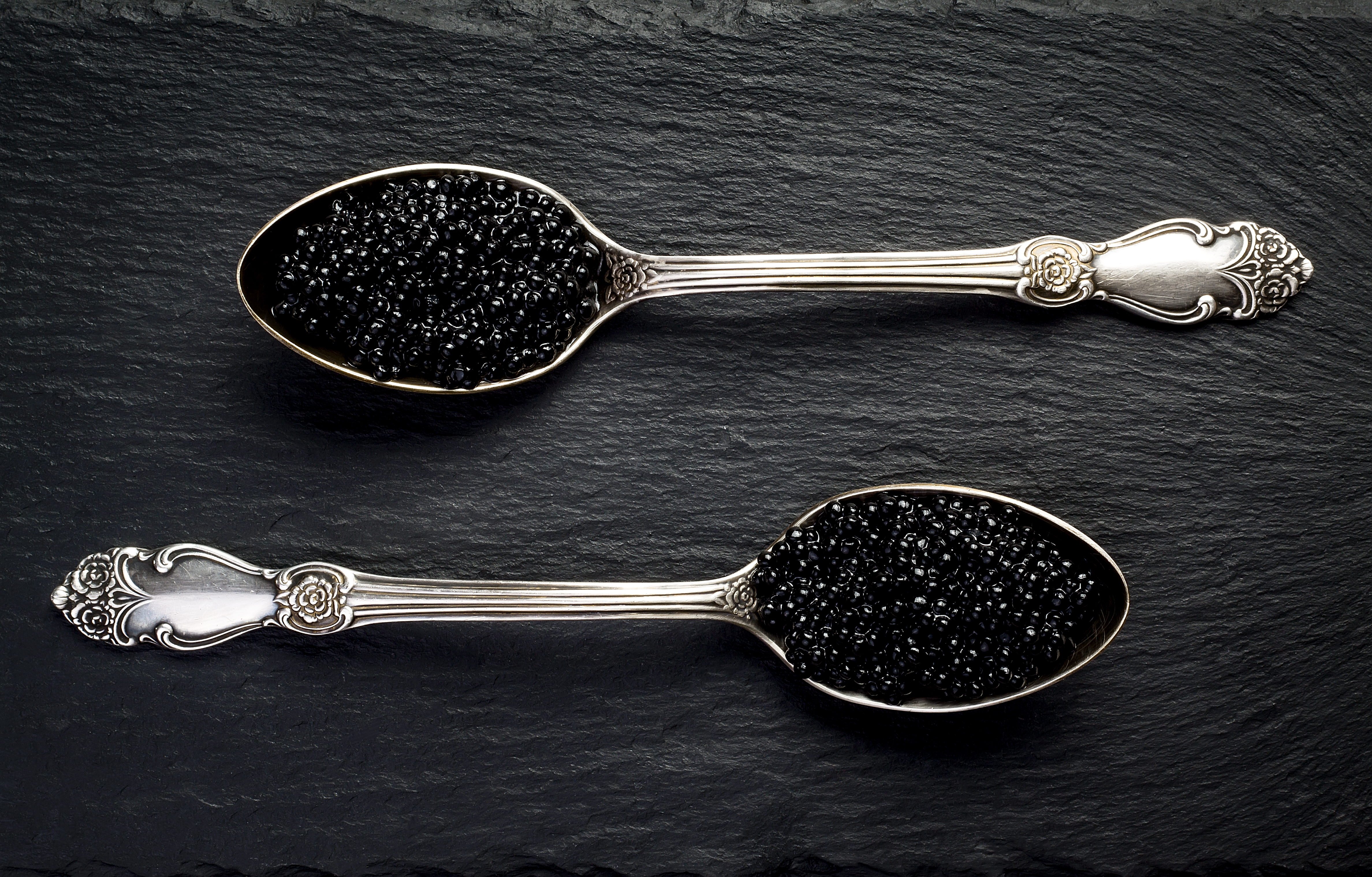 caviale habitante