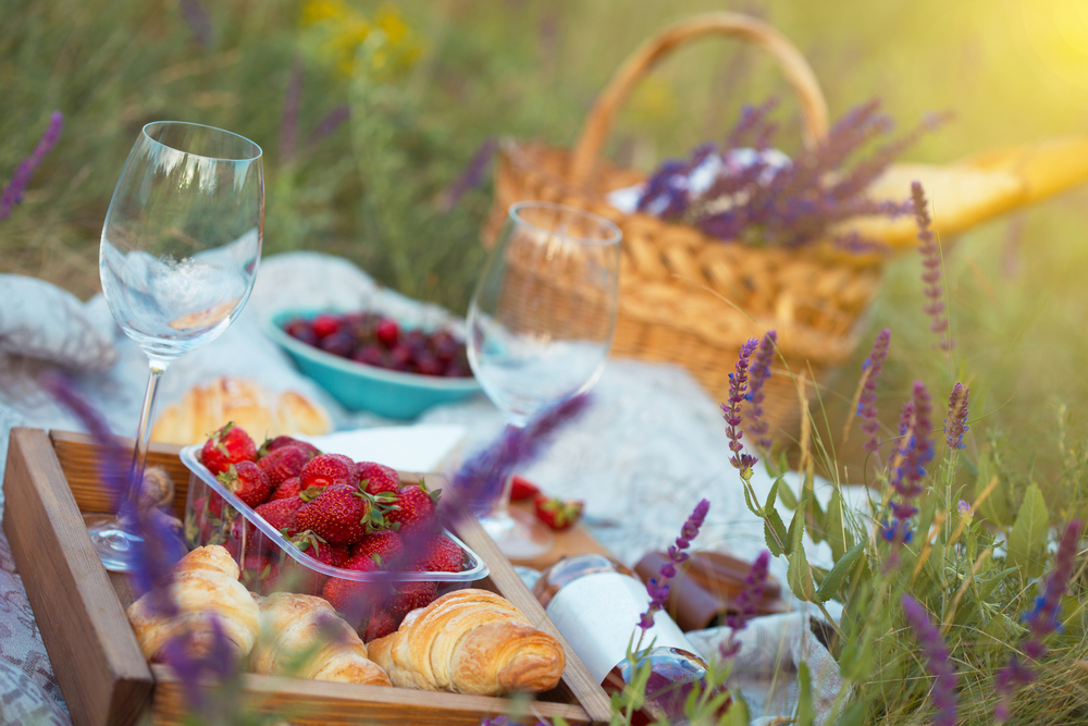 8 Idee per organizzare un picnic perfetto