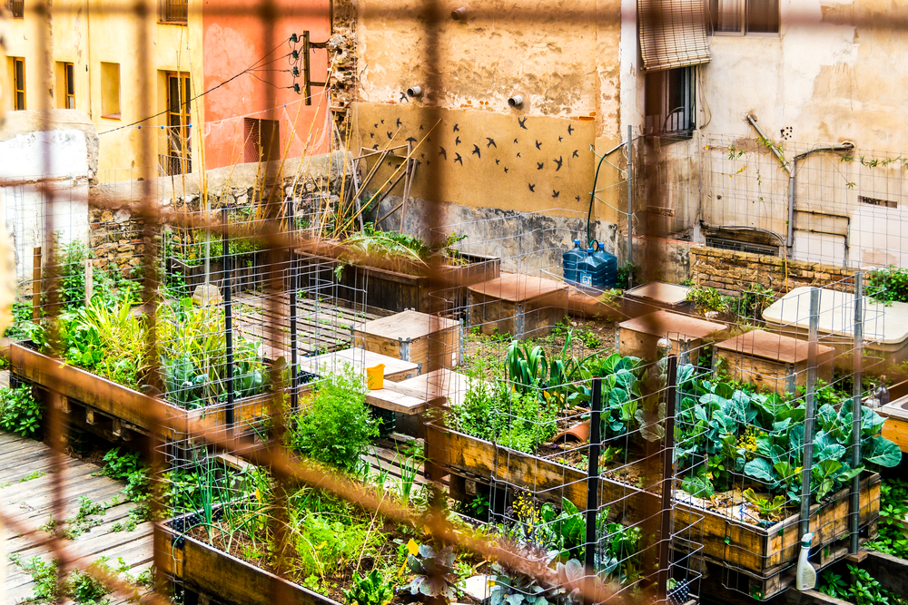 orto urbano più grande del mondo