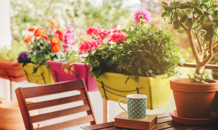 Come avere uno splendido balcone fiorito