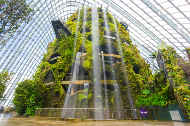 città foresta stefano boeri cina