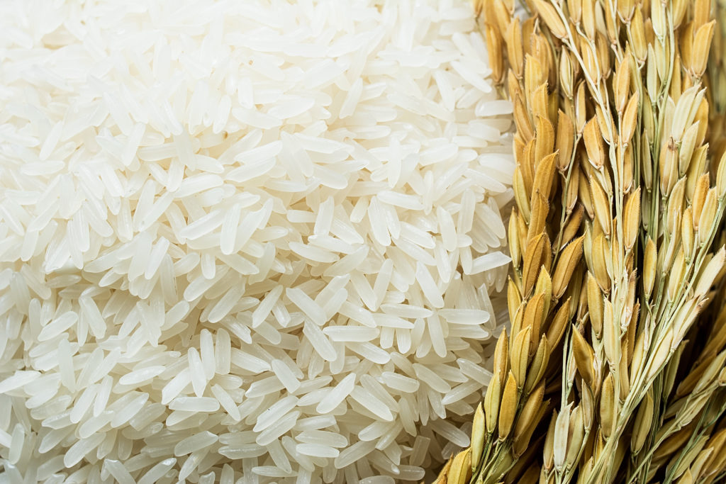 dieta del riso