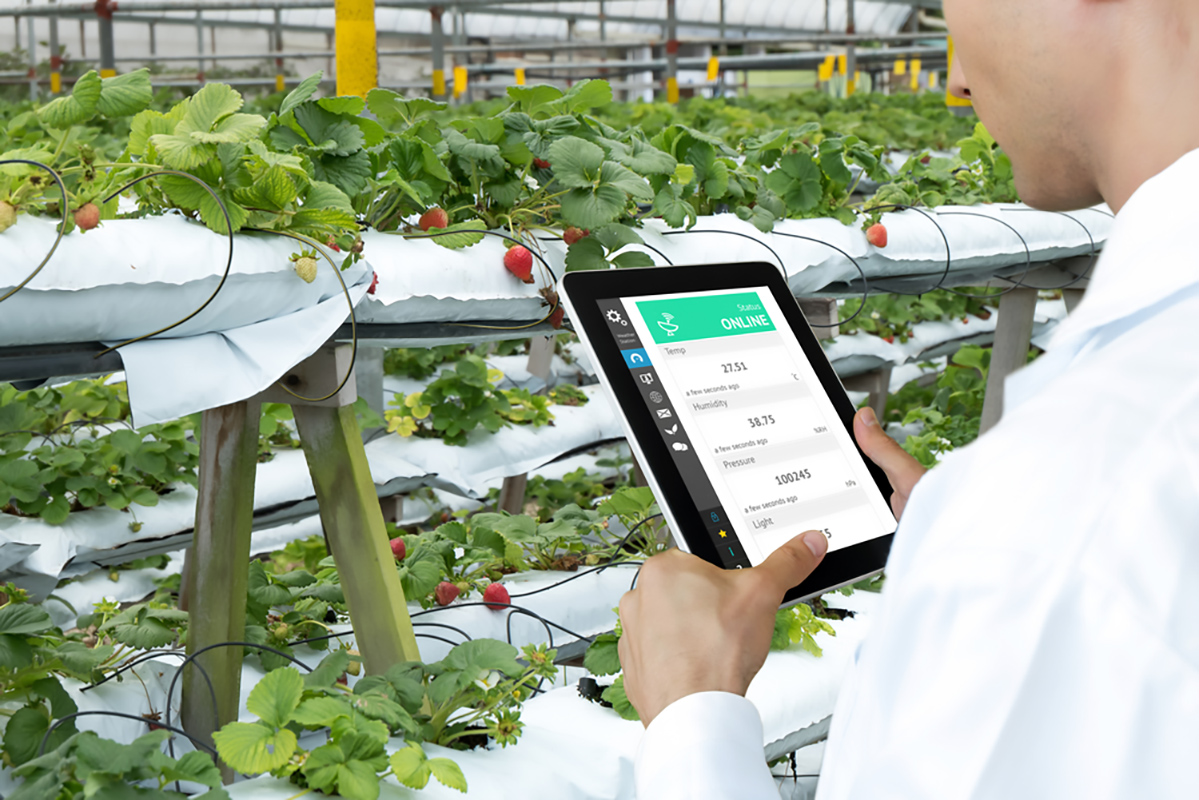 Innovazione e agroalimentare: a Siena Agrifood Mezzagro