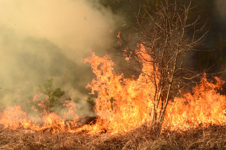 Africa in fiamme