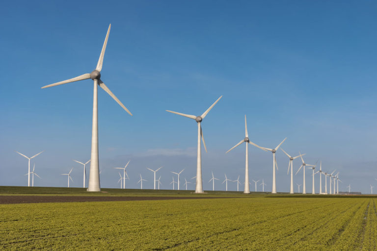 energia eolica