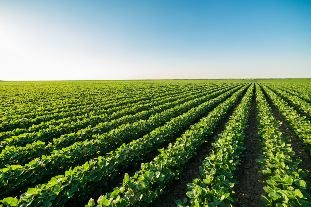 Il FAO a favore di un'alimentazione più sana