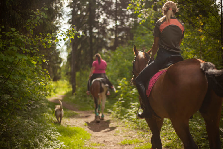 Weekend a cavallo