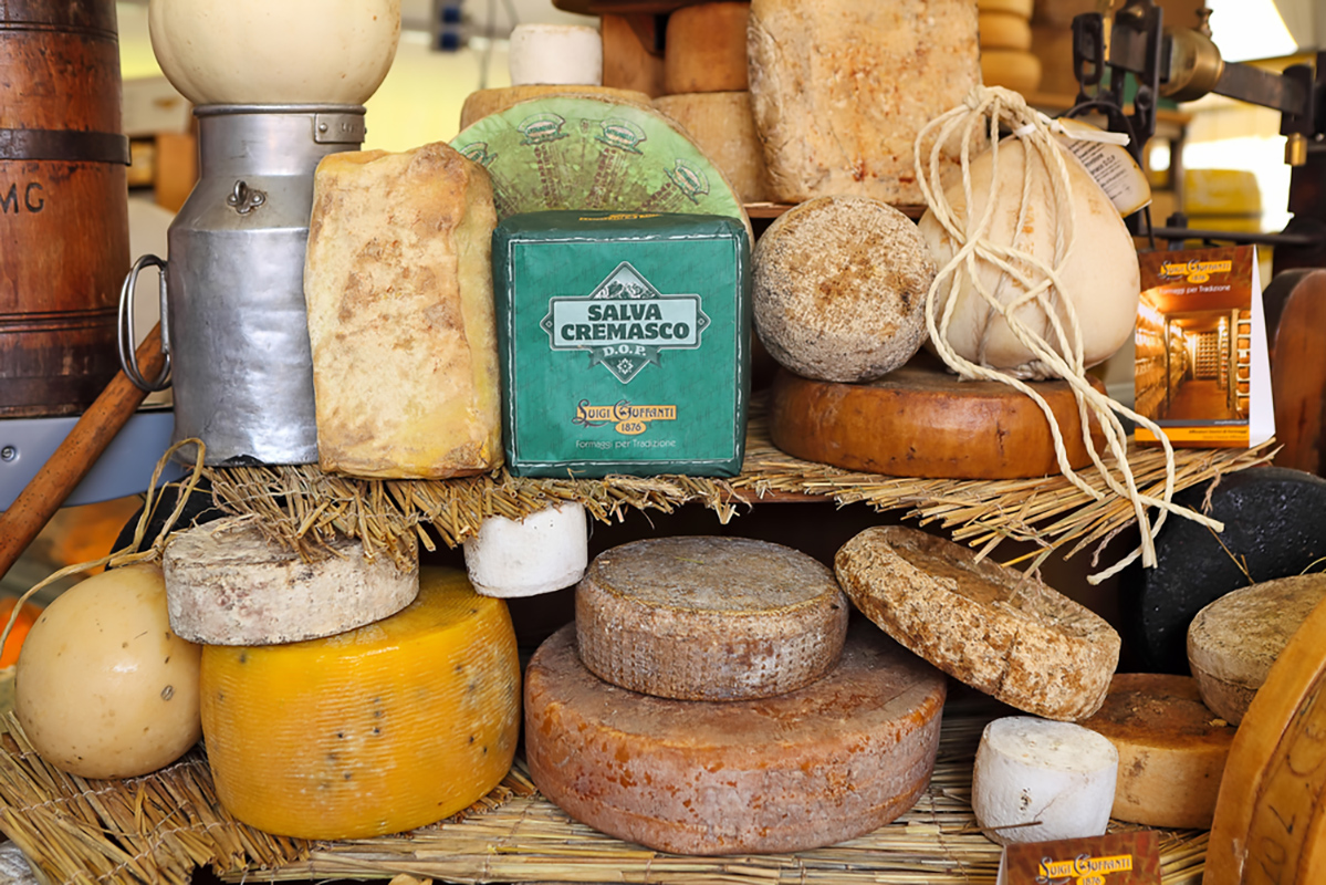 Cheese 2019 a Bra
