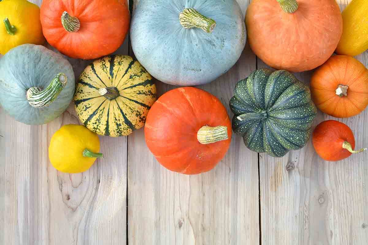 benefici zucca