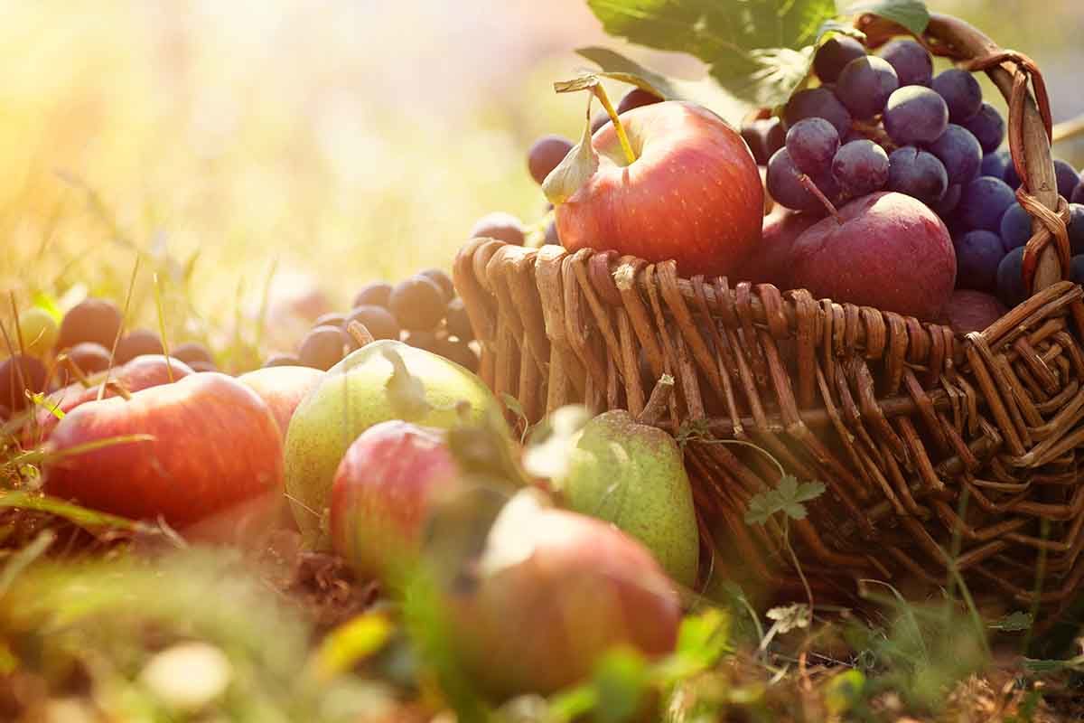 frutta settembre