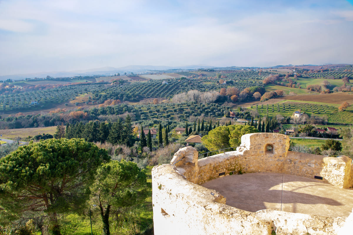 Frescobaldi Tenuta Ammiraglia