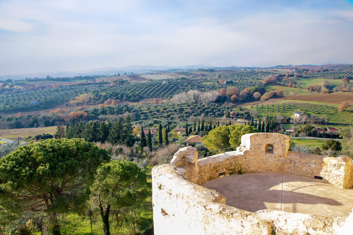 Frescobaldi Tenuta Ammiraglia