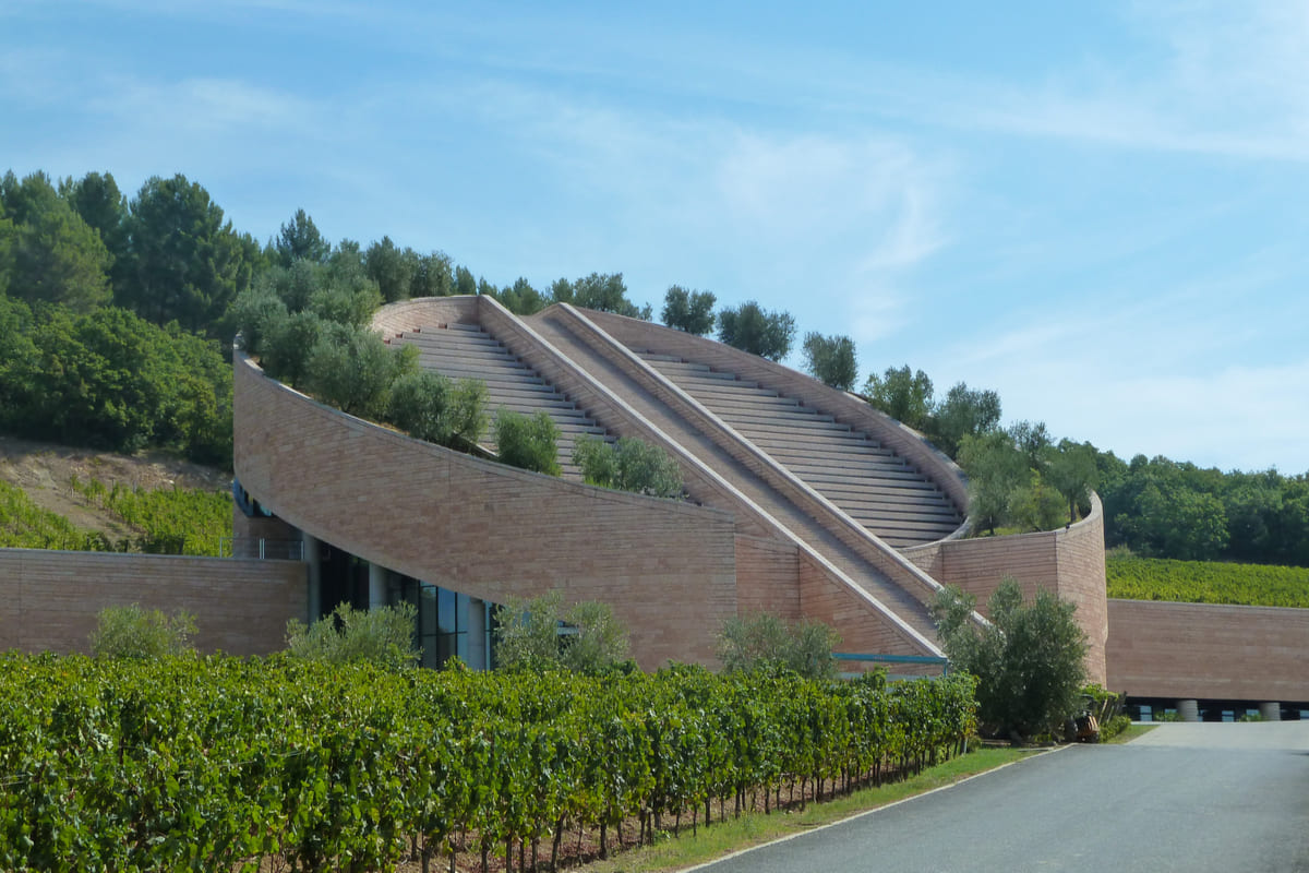 Petra wine