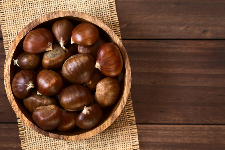 Raccolta delle castagne in Molise