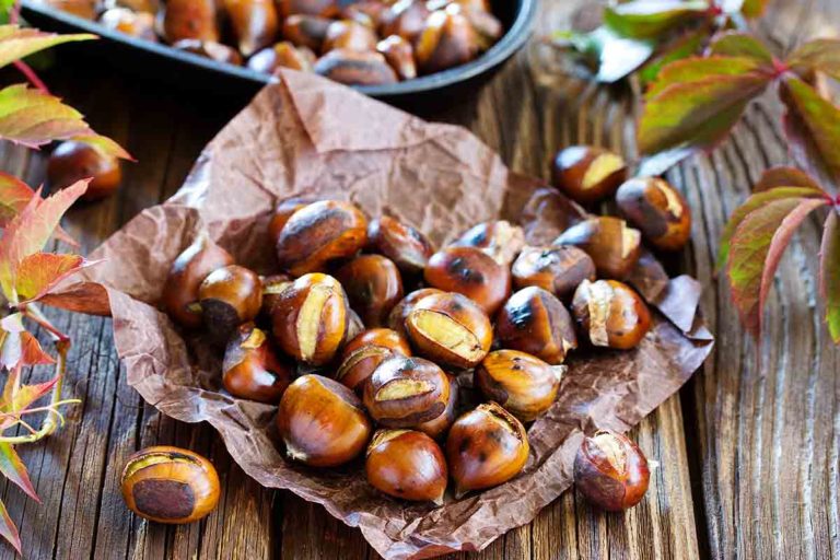 castagne in Trentino-Alto Adige