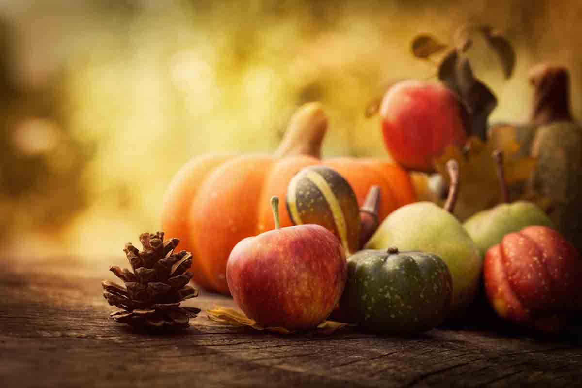 Frutta e verdura di stagione a novembre