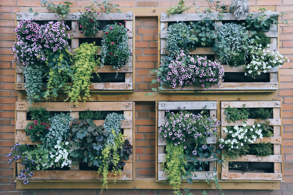 Pallet verde verticale
