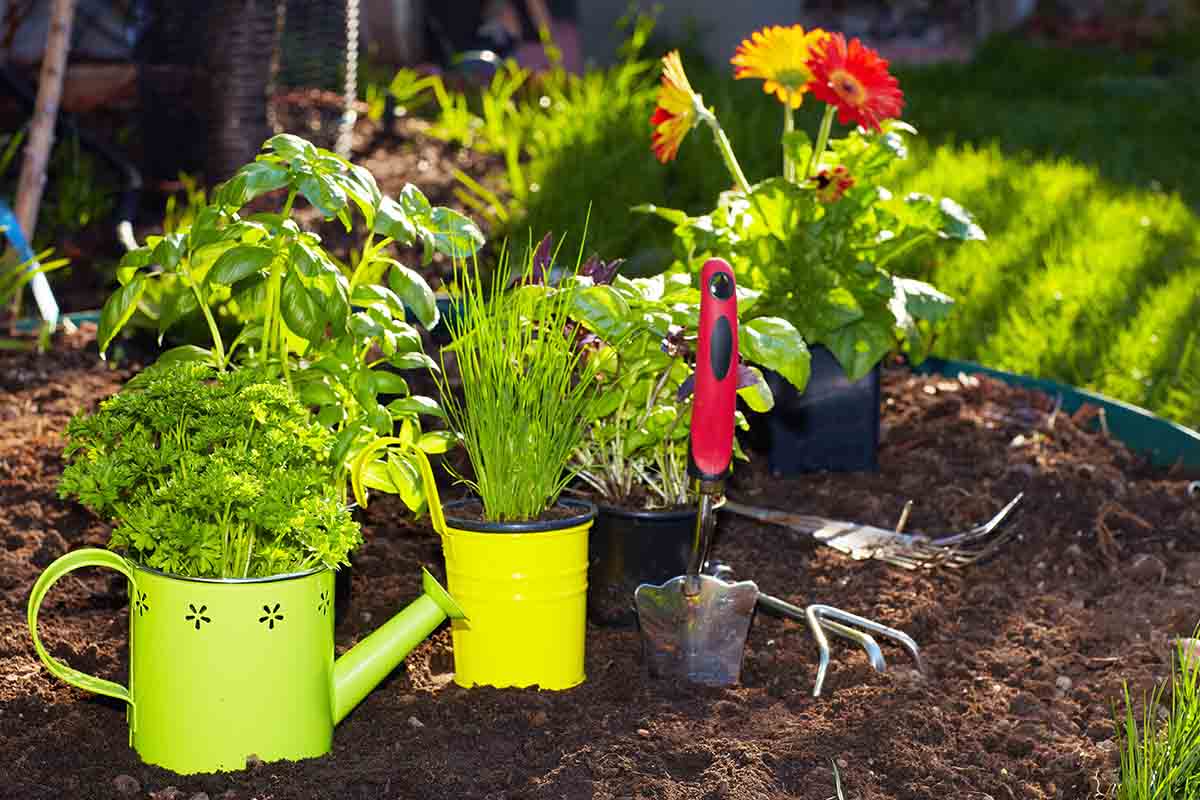 Gli eventi di giardinaggio 2020