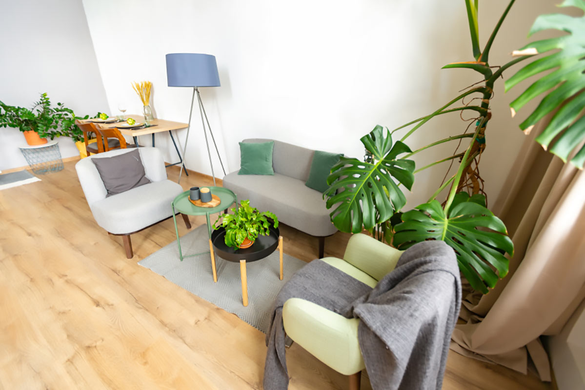 piante in design scandinavo