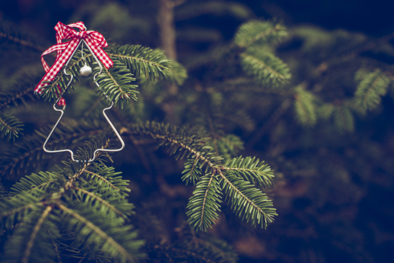albero di natale vero