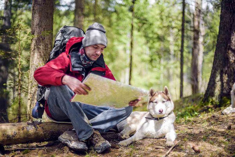 Andare in vacanza con il cane in montagna: tutto ciò che devi sapere
