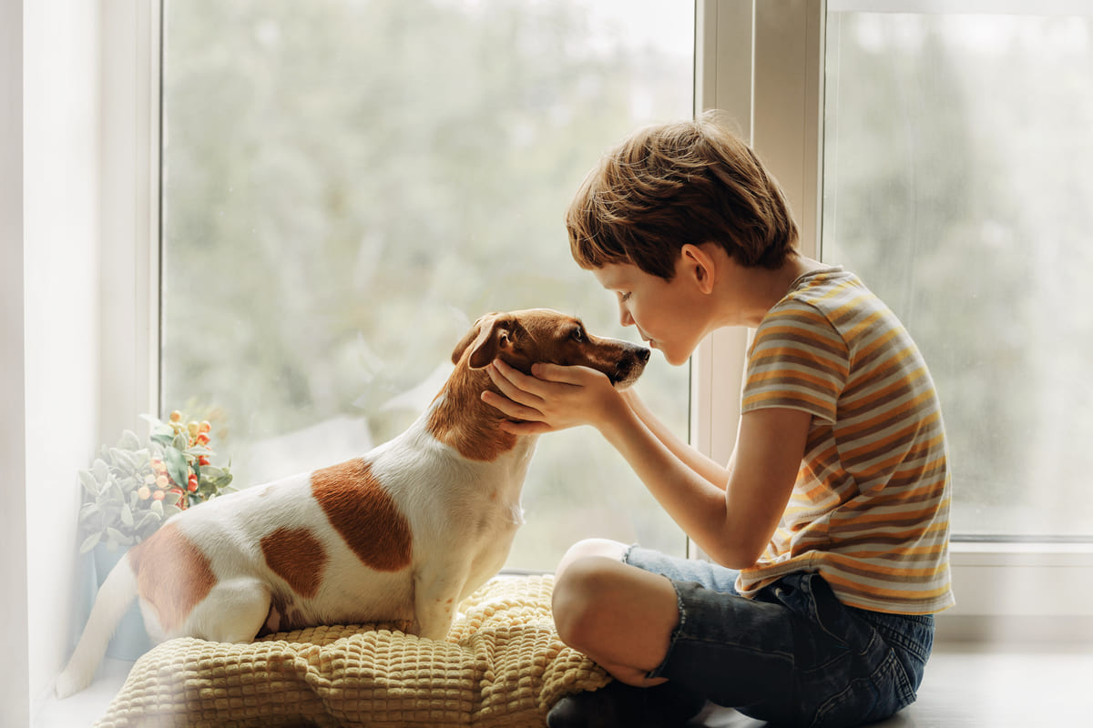 Cani e bambini