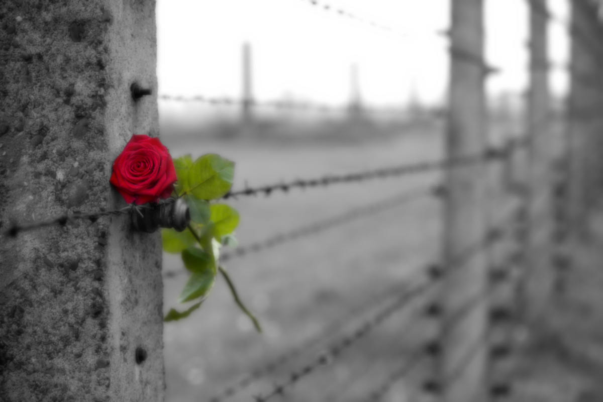 La Giornata della Memoria: perché e cosa è importante ricordare?