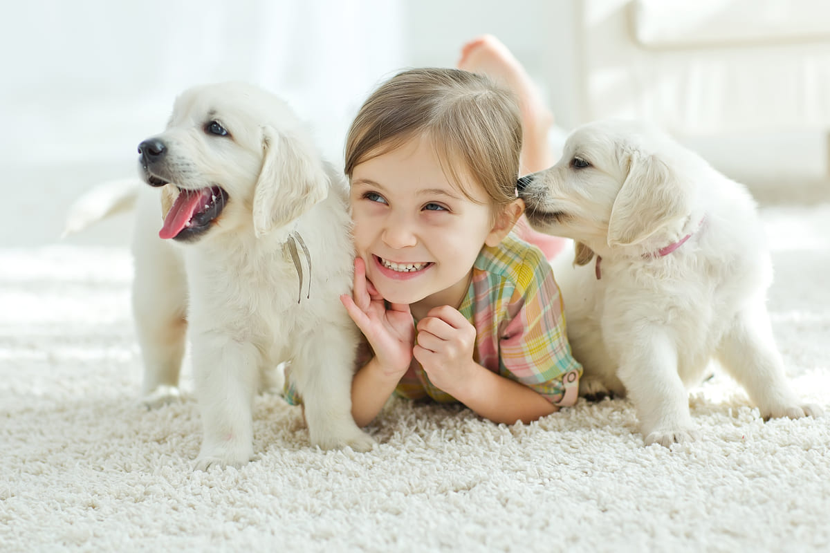 quanto costa avere un cane in casa