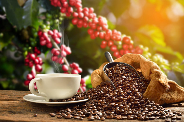Caffè: proprietà e benefici