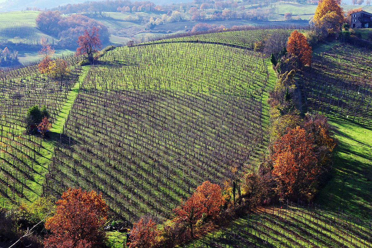 Parma Langhirano