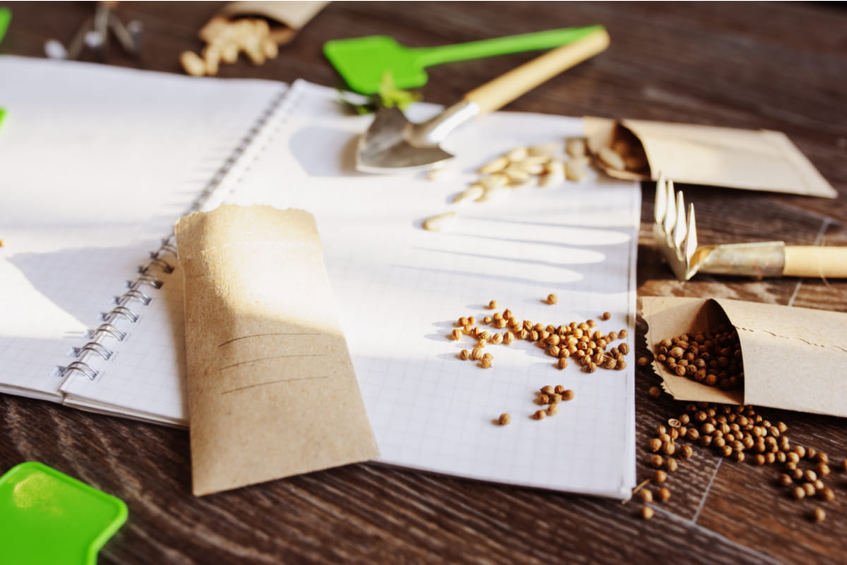 Cosa piantare a marzo
