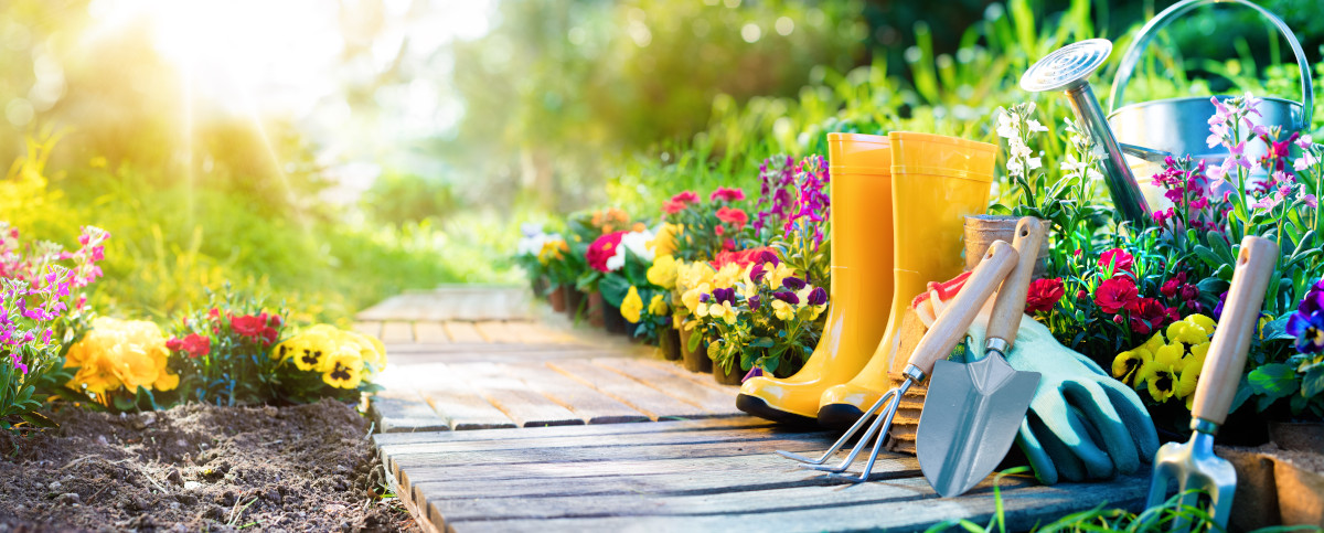 Lavori in giardino nel mese di marzo