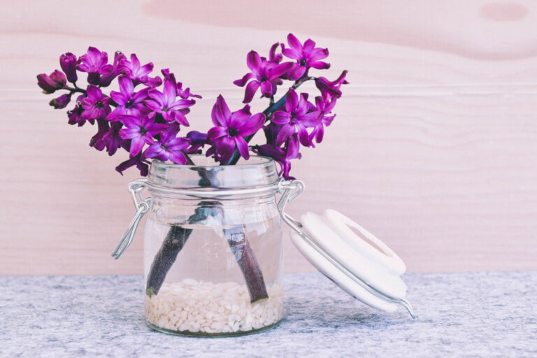 I fiori primaverili più belli per decorare casa