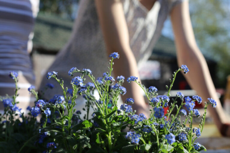Lavori in giardino nel mese di aprile
