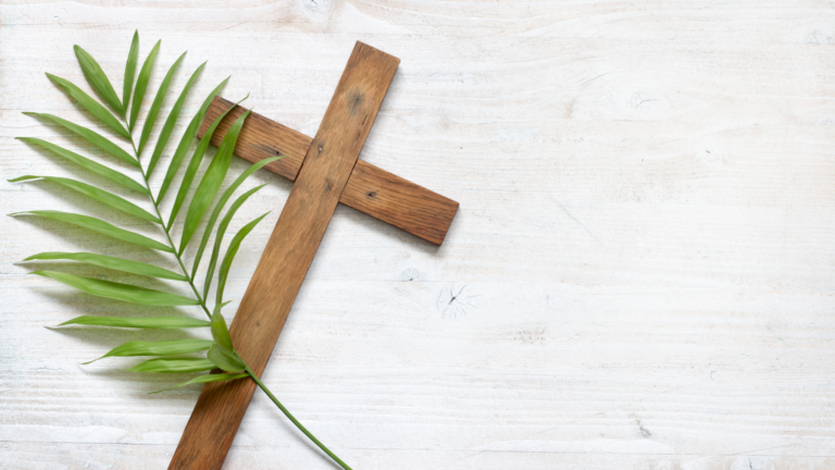 Simbolo Della Domenica Delle Palme Domenica delle Palme: il significato e perché si chiama così - Habitante